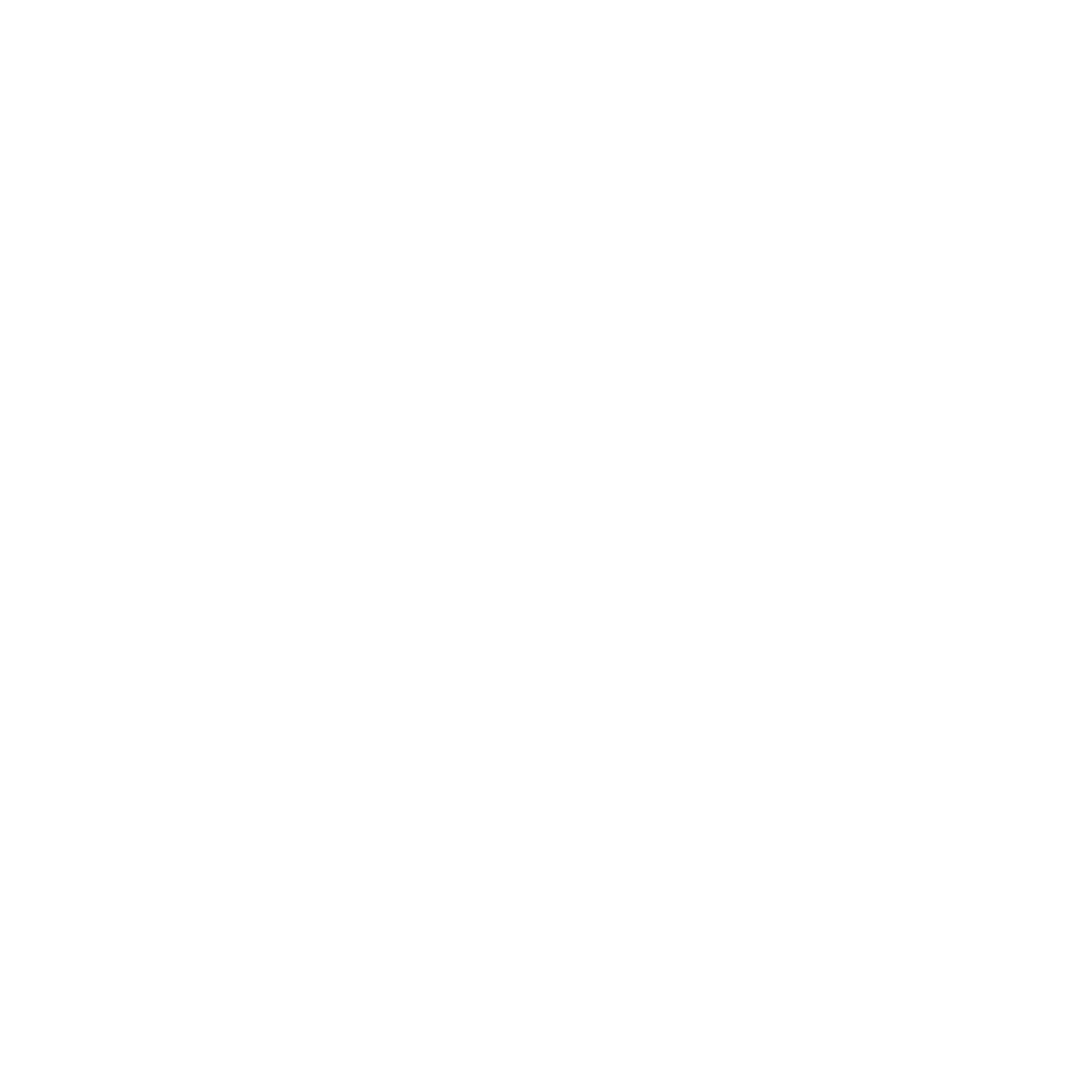 NannoVavity Logo